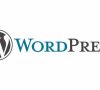 Wordpress Developer